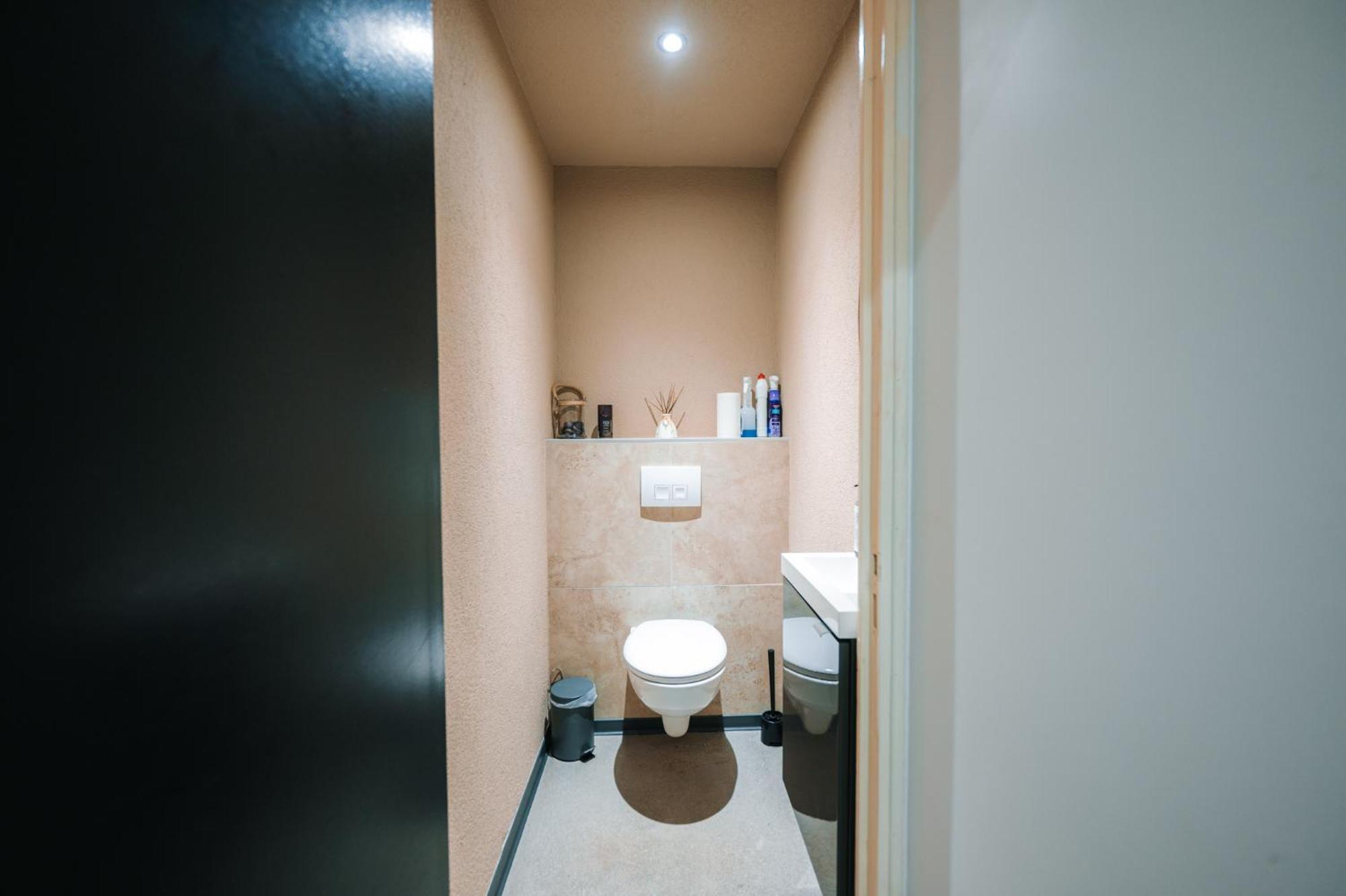 Grand Appartement Rez De Jardin Guebwiller Kültér fotó